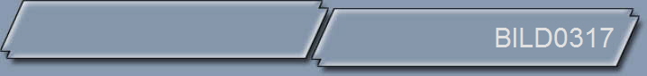 BILD0317