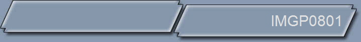 IMGP0801