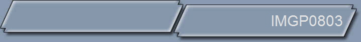 IMGP0803