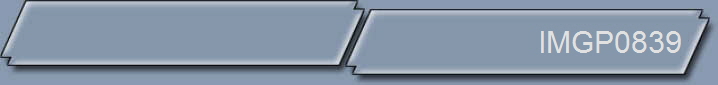 IMGP0839