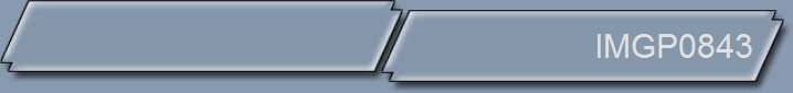 IMGP0843